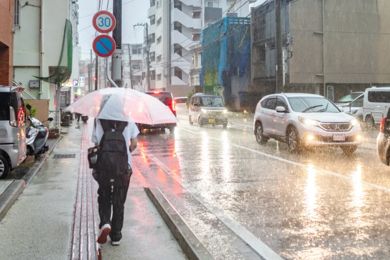 The weather in Okinawa on 8th July 2025: A person walking by with a large umbrella.