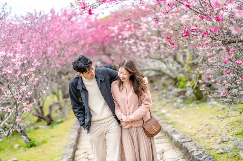 오키나와 스냅 벚꽃길 함께 걷기