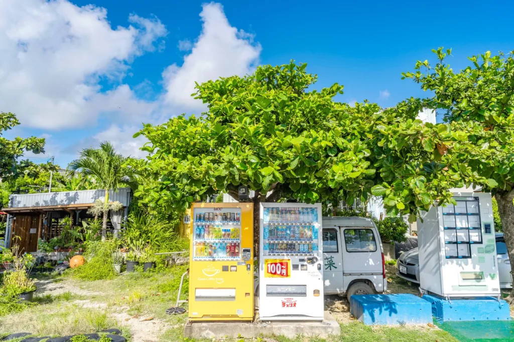 Ojima Island (奧武島) Summer Vending Machine